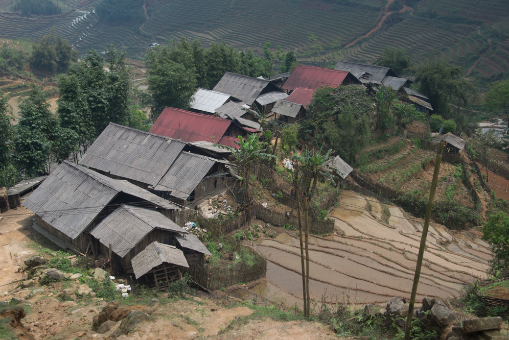 Vietnamese Farming Village