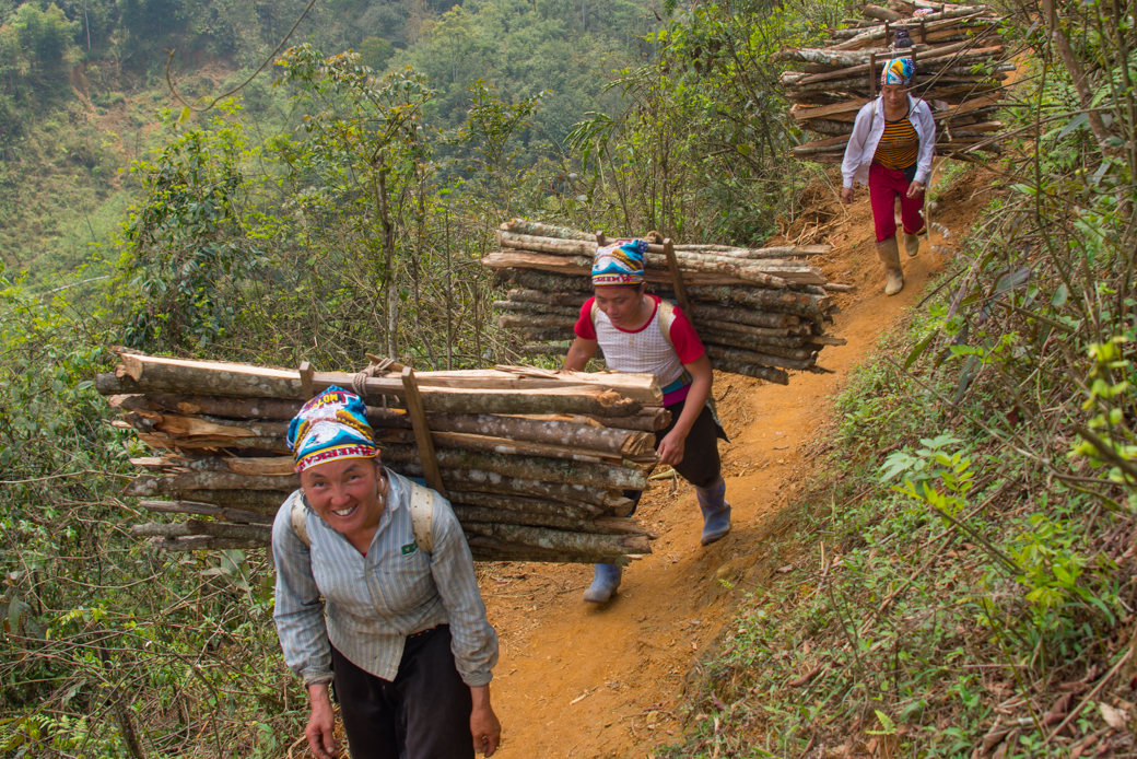 Vietnamese villagers hauling wood